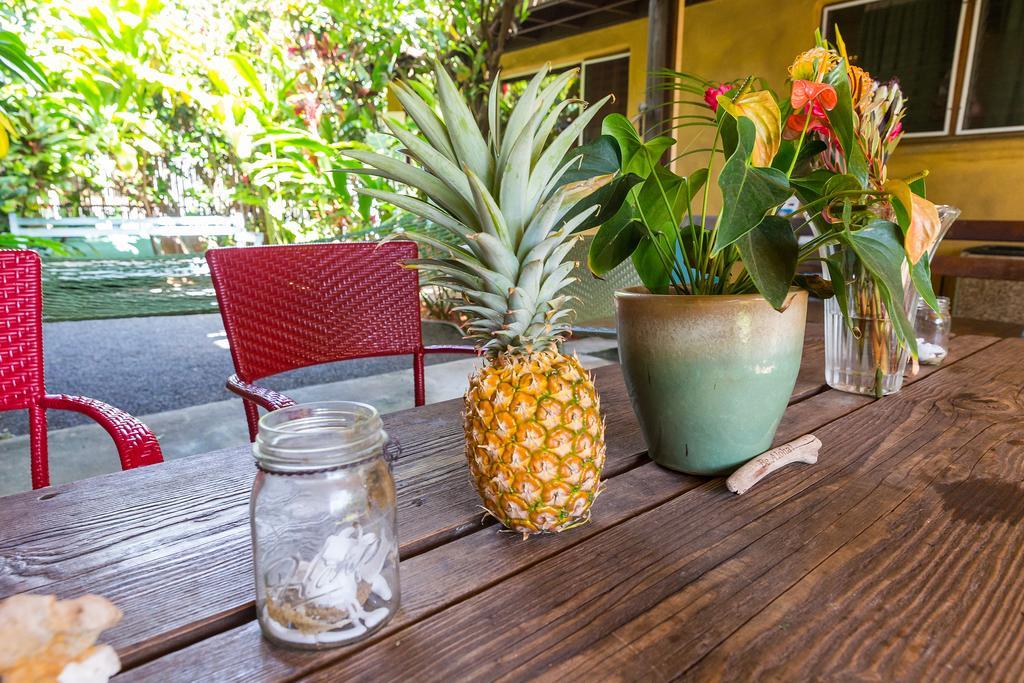 Nalu Kai Lodge Paia Hotel Exterior foto